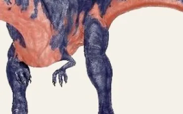 Quiz Dinosaures