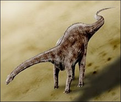 Quel est ce dinosaure diplodocoïde ?