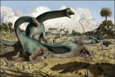 Quel est ce dinosaure diplodocoïde ?