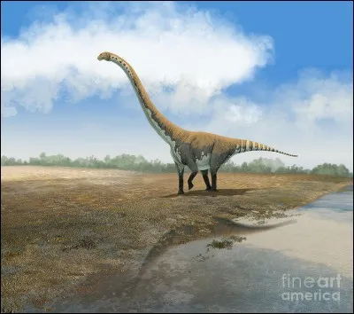 Quel est ce dinosaure euhelopodidae ?