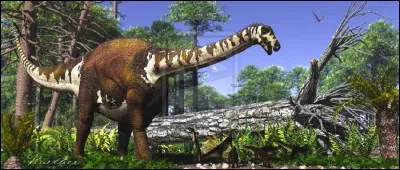 Quel est ce dinosaure rebbachisauridae ?