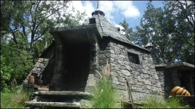 Que cache Hagrid dans sa cabane ?
