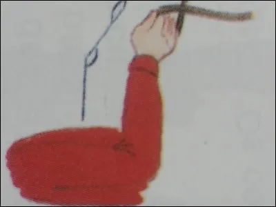 La cavalière tient-elle bien ses rênes ?