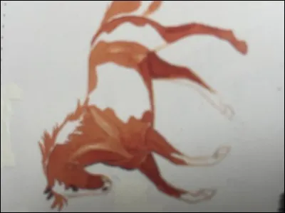 Quelle est la couleur de ce cheval ?