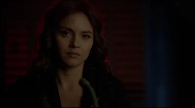 Comment la chasseuse, qui emprisonne les vampires dans la pierre du Phénix, s'appelle-t-elle ?