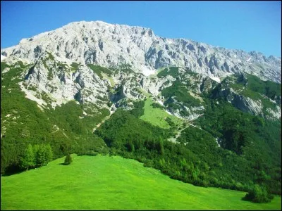 Lorsqu'on est vraiment très mal en point, selon l'expression, comme quel animal est-on malade ?