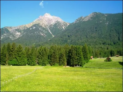 Comment dit-on "malade" en néerlandais ?
