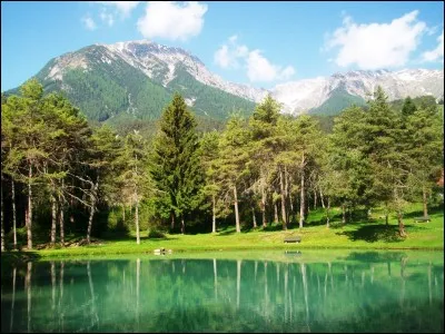 Qu'est-ce qu'une maladie professionnelle ?