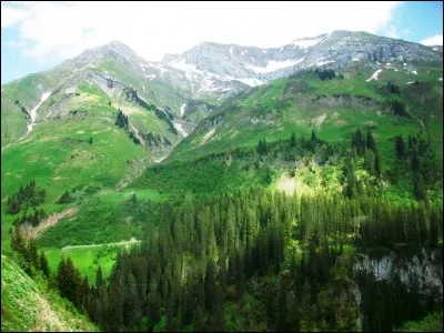 Ces dernières années, quelles maladies ont causé le plus grand nombre de décès en France ?