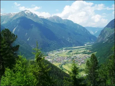 Quel insecte est le principal vecteur de la maladie de Lyme ?