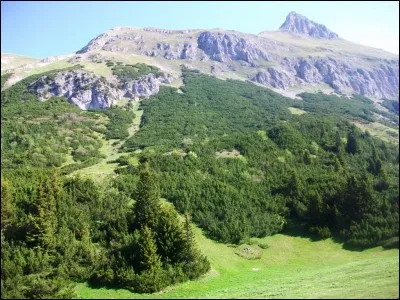 Que signifie l'expression "en faire une maladie" ?