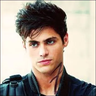 Dans quelle série pouvons-nous voir Alec Lightwood ?