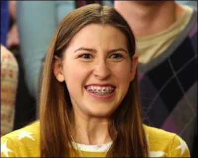 Dans quelle série pouvons-nous voir Sue Heck ?