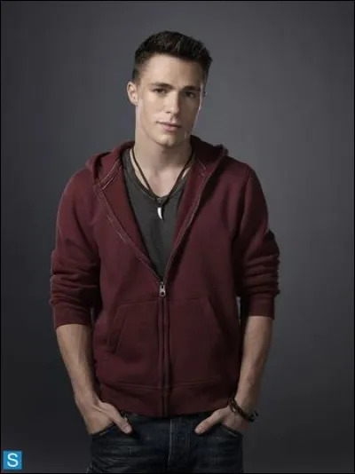 Dans quelle série pouvons-nous voir Roy Harper ?