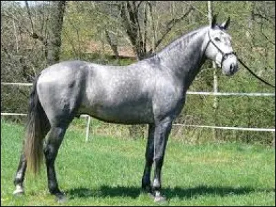 Quelle est cette robe ?