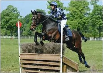 Quelle est cette discipline ?