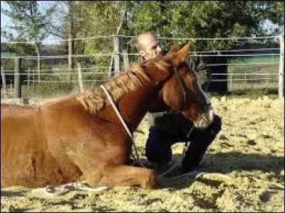 Quelle est cette discipline ?