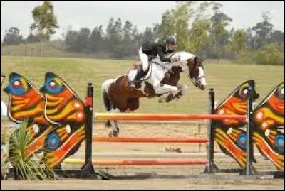 Quelle est cette discipline ?