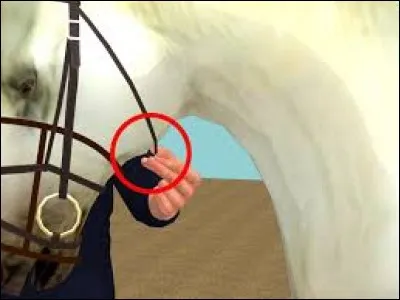 Quelle est cette partie du filet ?