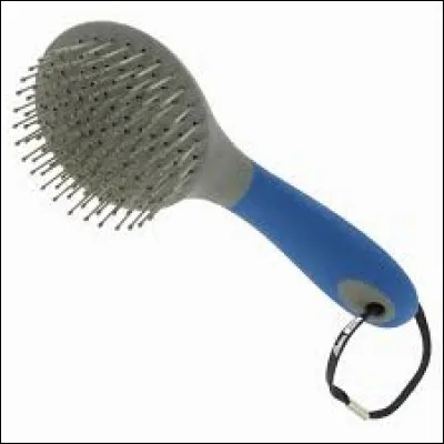 Quelle est cette brosse ?