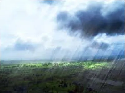 Comment sont appelées les pluies rendues nuisibles à cause de la pollution ?