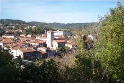 Commune Tarnaise, Roquecourbe se situe dans l'ancienne région ...