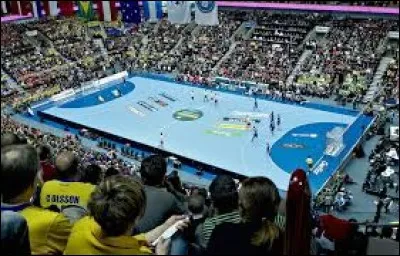 Dans quel sport le gardien est-il le seul joueur autorisé à pénétrer dans la surface de but ?