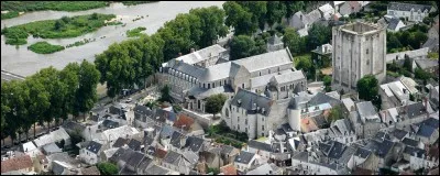 Cette petite ville de 7 000 habitants, dans le Loiret, est dominée par son château et le donjon; elle possède de nombreux monuments dont le pont du XIVe siècle sur la Loire. Quelle est cette ville ?