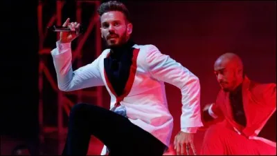 Pourquoi a-t-il choisi ''Pokora'' comme nom de scène ?