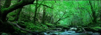 Es-tu capable de te débrouiller dans la nature ?