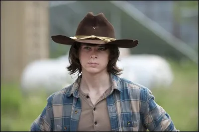 L'acteur jouant Carl Grimes se nomme :