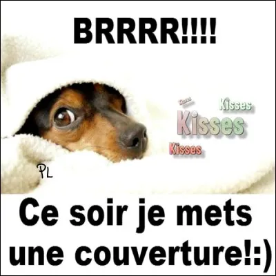 À froid, ça surprend.