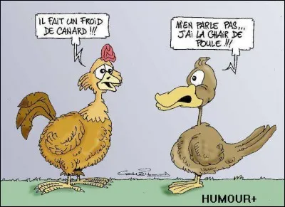 Il a froid aux yeux.