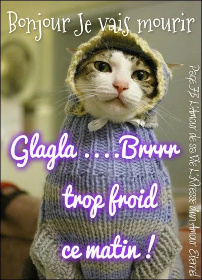 Grise quand elle vient du froid.