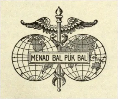 Cette langue fut construite par le prêtre catholique allemand Johann Martin Schleyer à partir d'un mélange de langues romanes (1880). Elle se veut universelle et compréhensible par tous.