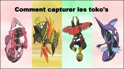 Quel est le point commun entre les Tokos ?