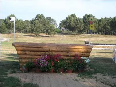 Comment s'appelle cet obstacle et dans quelle discipline se pratique-t-il ?