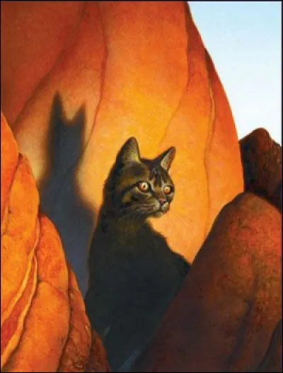 Qui est ce/cette chat/chatte ?