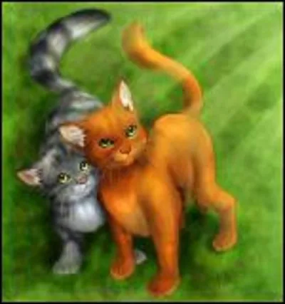 Qui sont ces chats/chattes ? (dans le tome 1)