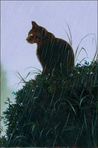 Qui est ce/cette chat/chatte ?