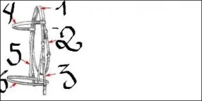 Comment s'appelle le numéro 4 ?