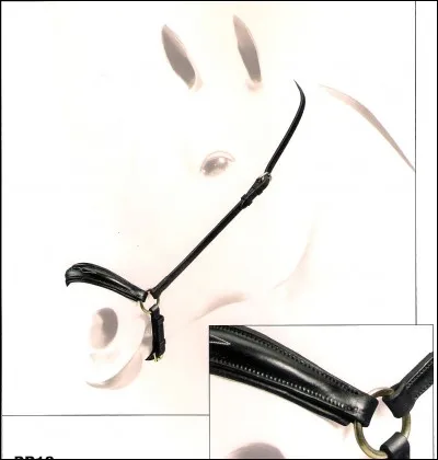 Comment s'appelle cette muserolle ?