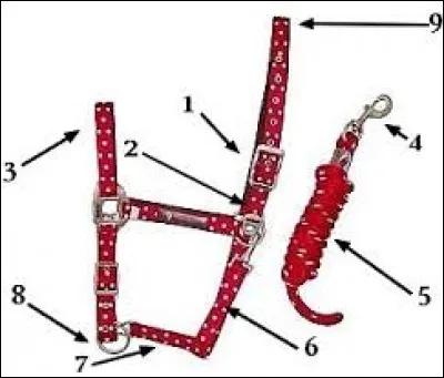 Comment s'appelle le numéro 7 ?