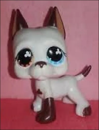 Comment s'appelle cette race ?