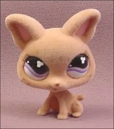 Comment s'appelle cette race ?