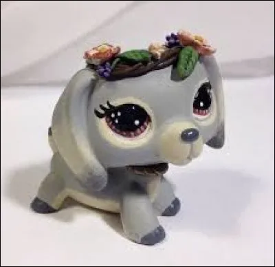 Comment s'appelle cette race ?