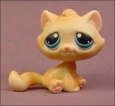 Comment s'appelle cette race ?