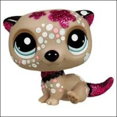 Comment s'appelle cette race ?