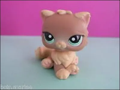 Comment s'appelle cette race ?