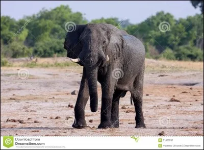 Z comme Zimbabwe - Quelle est la capitale de ce pays d'Afrique australe ?